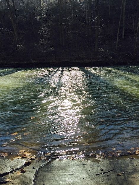 Foto fiume contro gli alberi in un giorno di sole