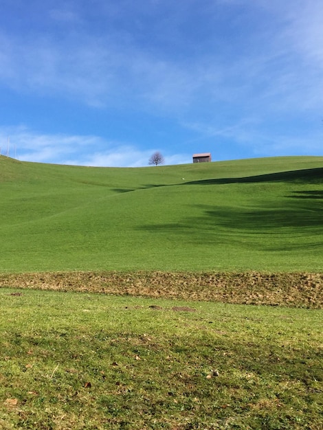 Foto vista panoramica del campo contro il cielo