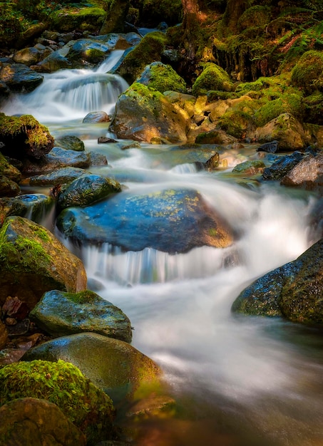 Foto la vista panoramica della cascata