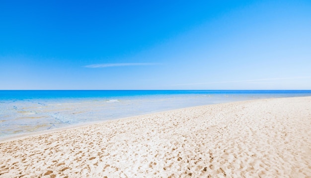 Foto spiaggia estiva tropicale