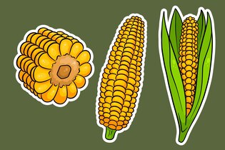 corn clip arts