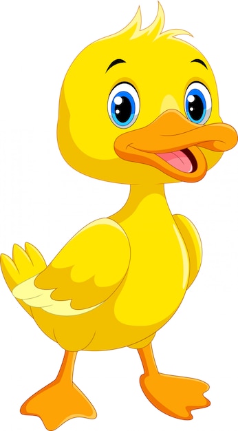 Cute cartoon duck