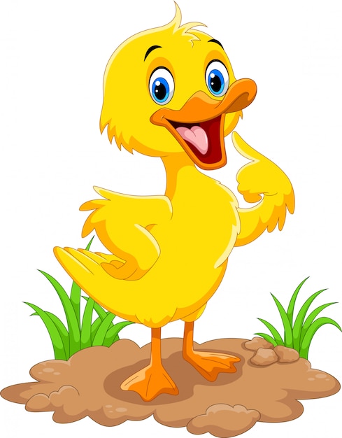 Cute duck cartoon