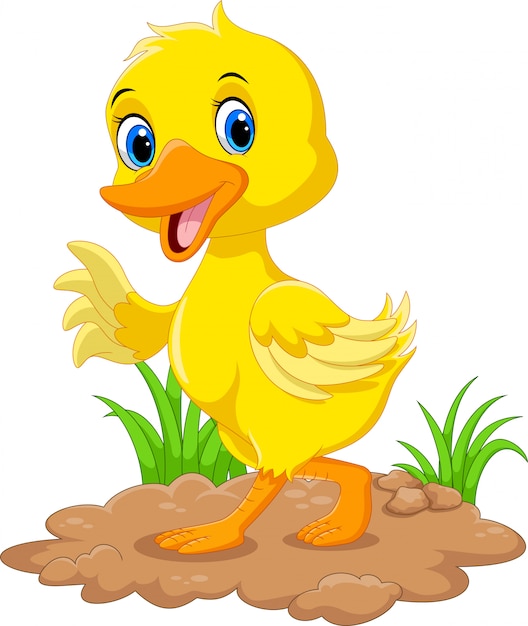 Cute duck cartoon