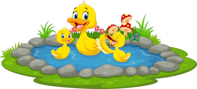 Duck and ducklings swimming in a pond