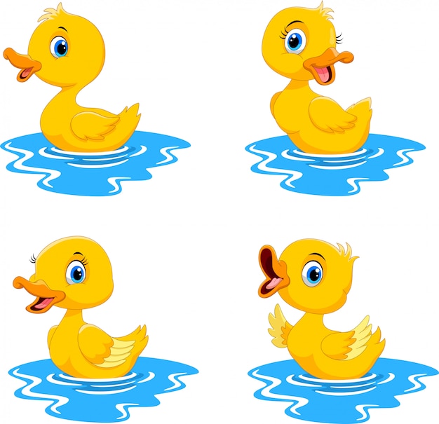 Happy cartoon duck swimming collection set