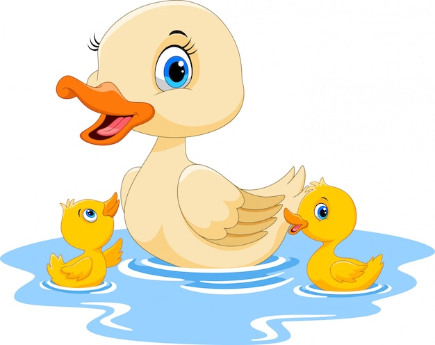 Happy duck cartoon swimming