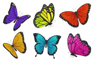 butterfly clip arts