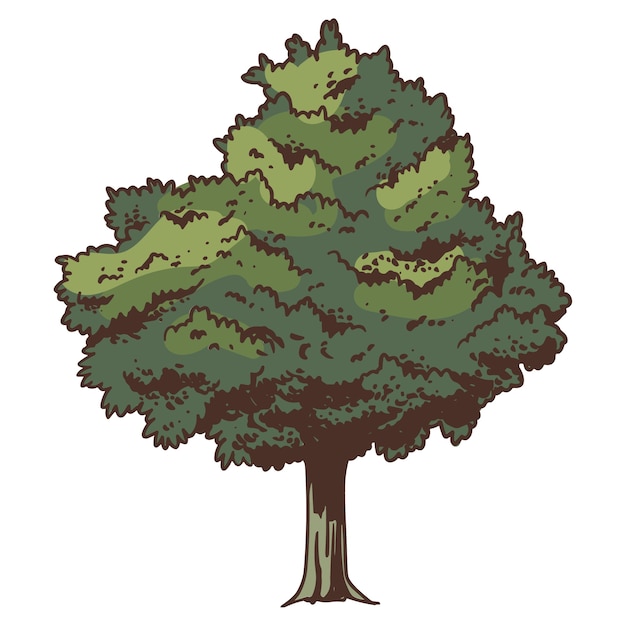 PSD gratuito illustrazione dell'albero disegnata a mano isolata