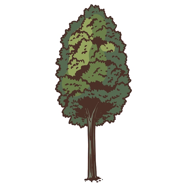 PSD gratuito illustrazione dell'albero disegnata a mano isolata