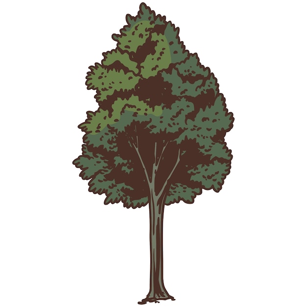 PSD gratuito illustrazione dell'albero disegnata a mano isolata