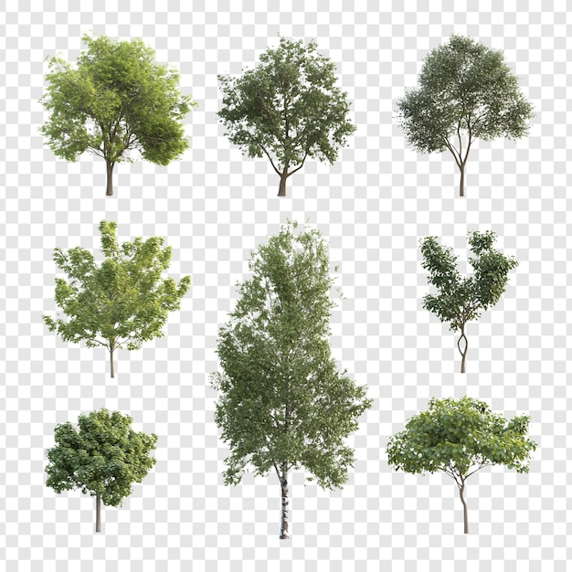 PSD collezione di alberi renderizzati in 3d