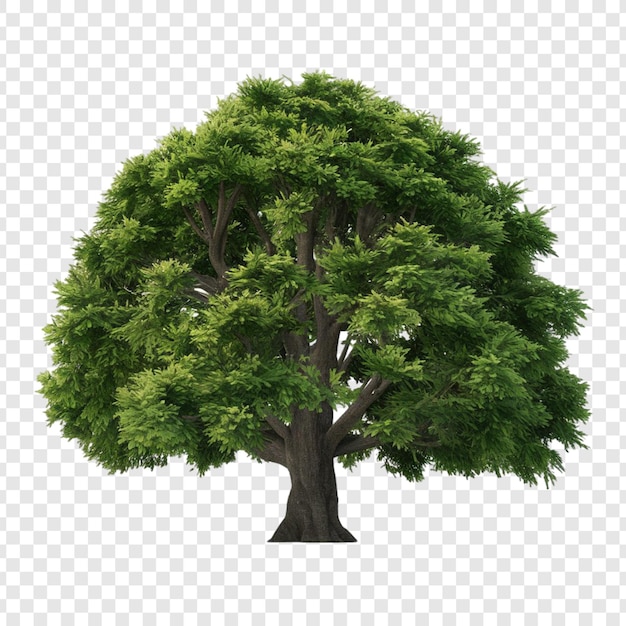 PSD un albero con un tronco verde e uno sfondo bianco