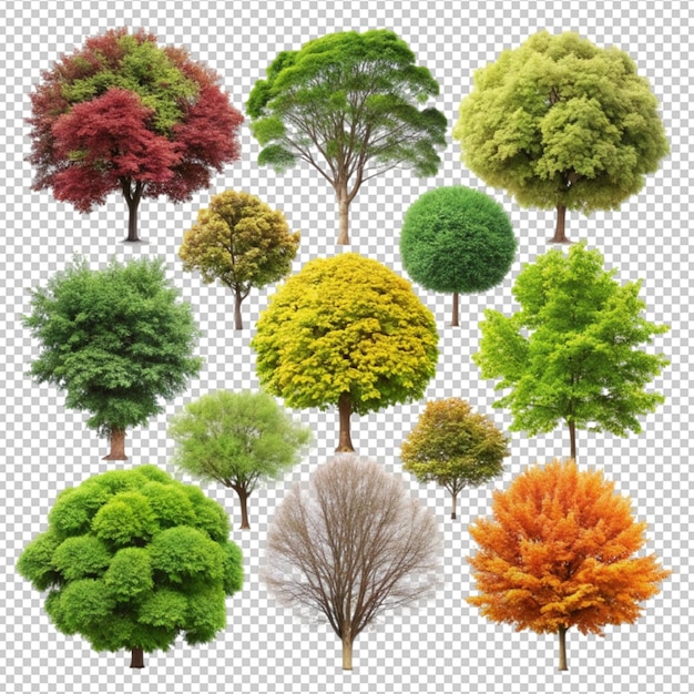 PSD una raccolta di alberi con diversi colori di diversi colori