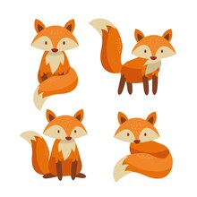 illustration de renard