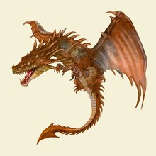 illustration de dragon