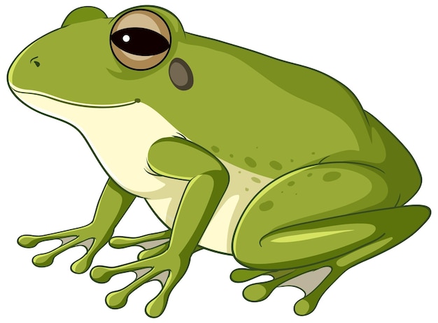 Vecteur gratuit une grenouille verte sur fond blanc