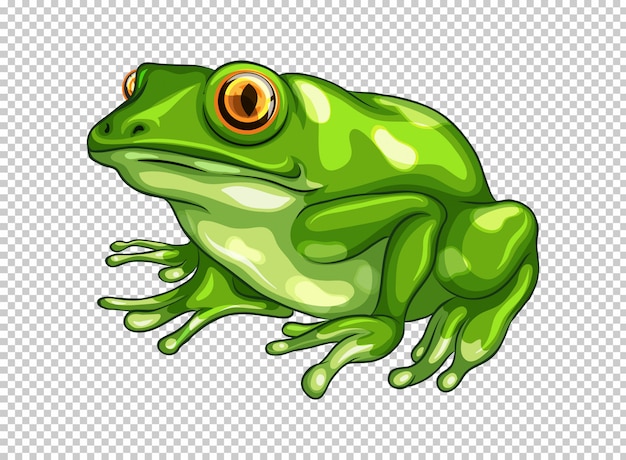 Vecteur gratuit grenouille verte sur transparent