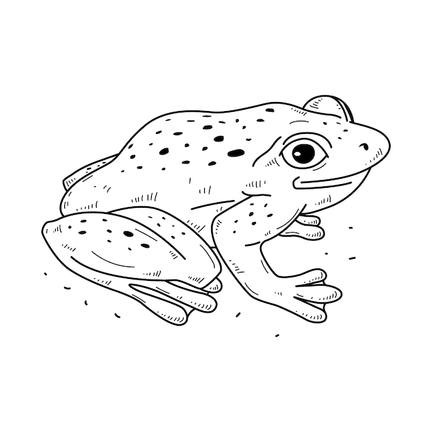 Vecteur gratuit illustration de contour de grenouille dessinée à la main