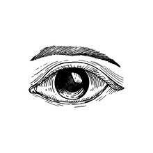 illustration des yeux