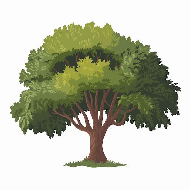 Vecteur un dessin d'un arbre avec le mot le mot dessus