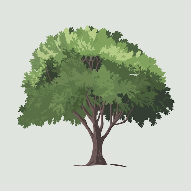 Vecteur un dessin d'un arbre avec le mot le mot dessus