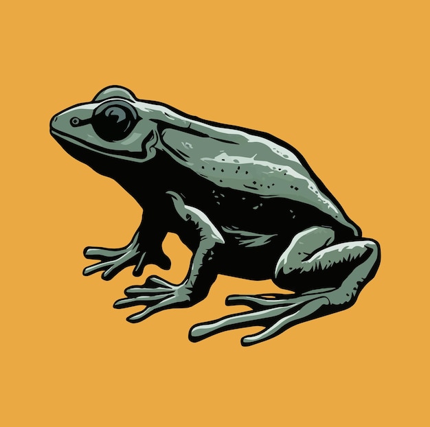 vecteur d'illudtration des amphibiens