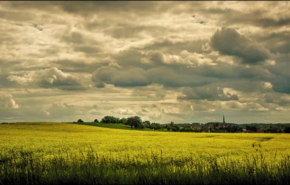 Picture the sky, clouds, flowers, Field, may, may, sky, field