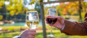 Wine Not? Taste the Essence of North Carolina on Wine Tasting!