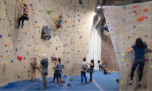 Discover Your Inner Climber at a 14,000-square-foot Gym: One-Day Pass 