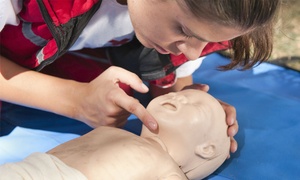 Up to 65% Off on Online CPR/First Aid Course at Expert Skills