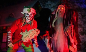 Admission to  Tickets to The Horrorland Scream Park