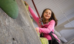 Reach New Heights with an Indoor Climbing Adventure