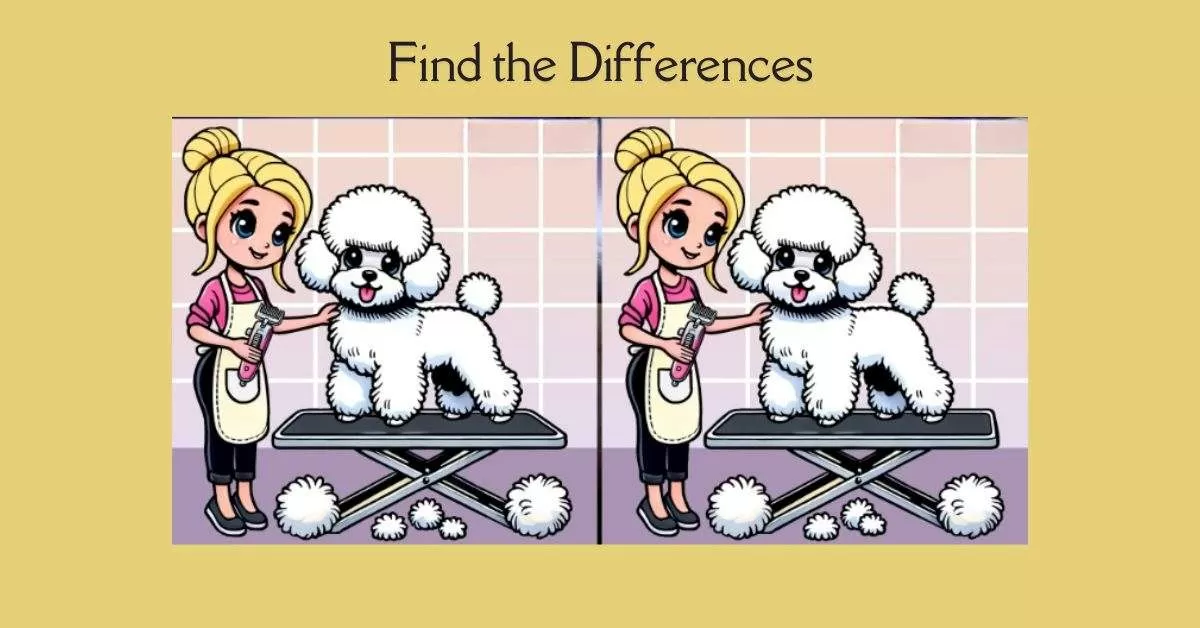 Spot the 3 Differences in Girl Grooming a Dog