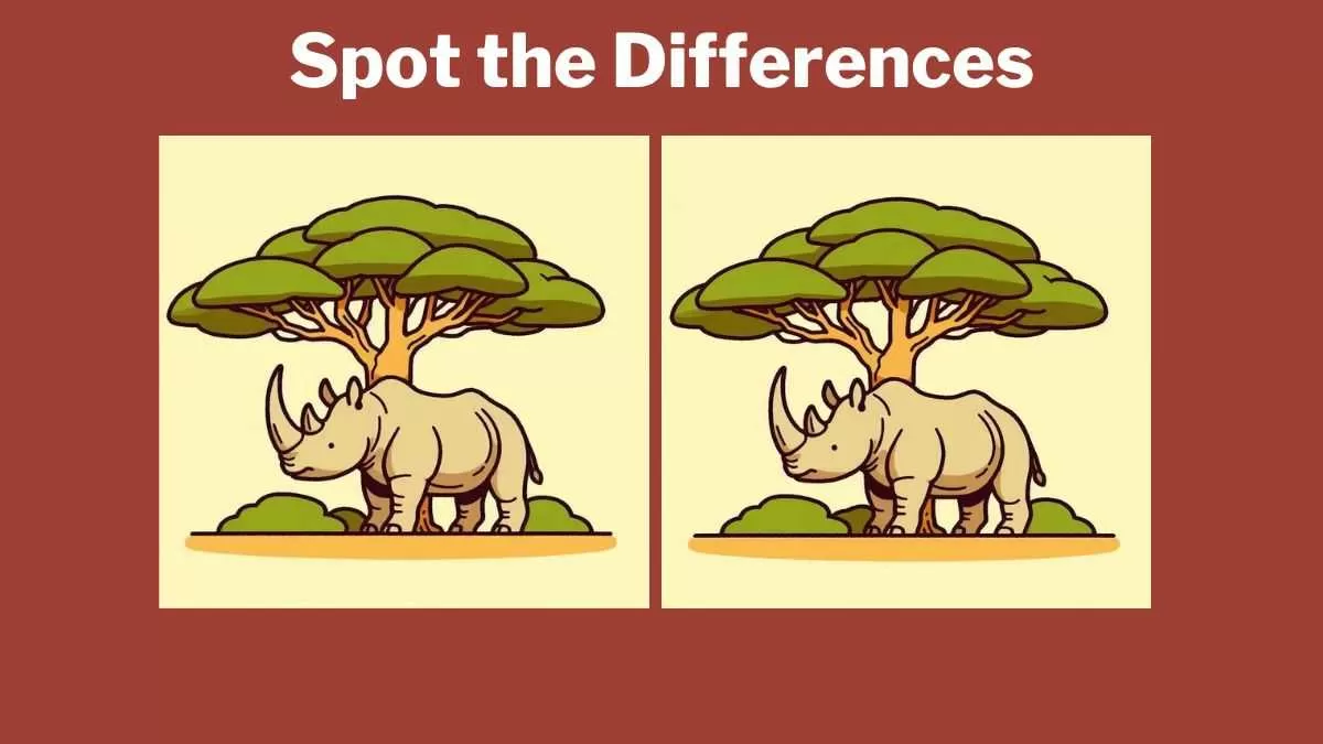 Spot the differences rhino pictures