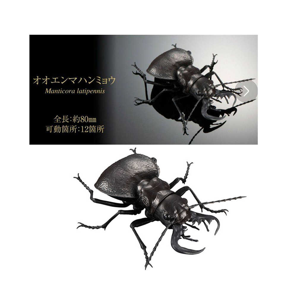 萬代 轉蛋 扭蛋 生物大圖鑑 鍬形蟲05 巨虎甲蟲 現貨日版