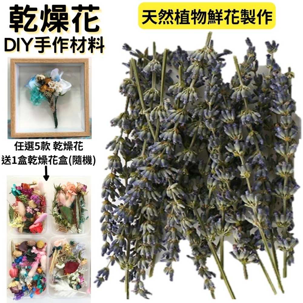 【A-ONE】乾薰衣草 花藝材料包 浮游花 綜合乾燥花 乾燥花 植物標本 森林系 花材材料包 永生花 A22