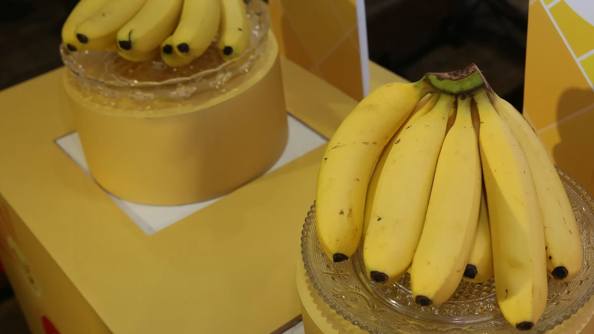 日本高校妹曾推「成人香蕉」運動 相隔7年真的來台了。（圖／鏡週刊）