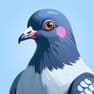 Hidden Pigeon: Find Objects Adventure