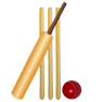 Giochi di Cricket