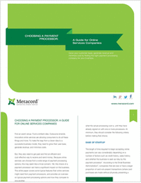 Choosing a Payment Processor: A Guide for Online Services Companies