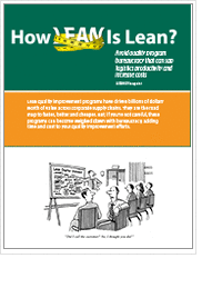 How Lean is Lean?