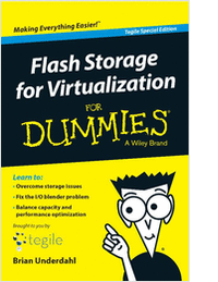 Flash Storage for Dummies