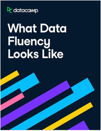 Whitepaper | What Data Fluency Looks Like