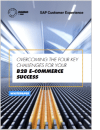 The B2B Guide to the 4 key E-commerce Challenges of Today