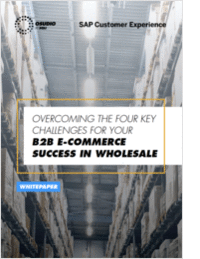 OVERCOMING THE TOP B2B E-COMMERCE CHALLENGES FOR WHOLESALERS