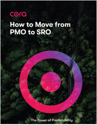 How to Move from PMO to SRO