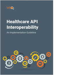 Healthcare API Interoperability: An Implementation Guideline