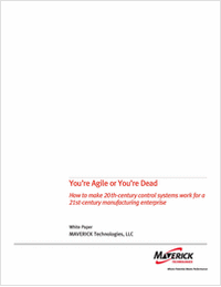 DCS White Paper: You're Agile or You're Dead