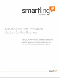 Selecting the Best Translation Options for Your Business